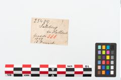 Etikett zu Bronzering (NHMW-PRAE-025489)